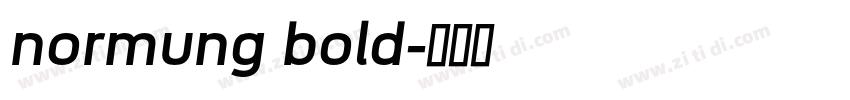 normung bold字体转换